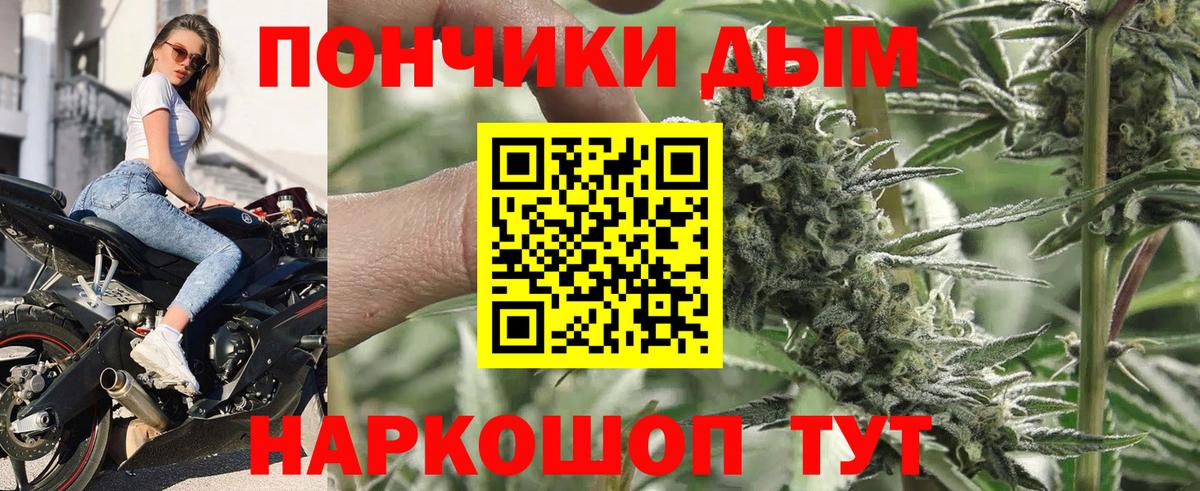 МАРИХУАНА планчик  Каннабис сатива  Егорьевск  Вход с VPN  МАРИХУАНА семена 